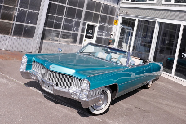 トミーベース在庫車