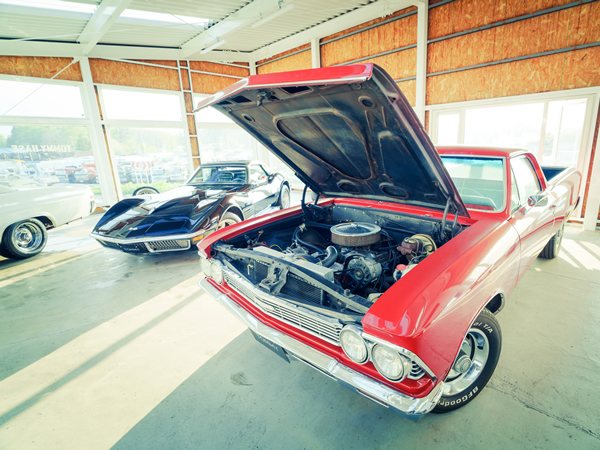 トミーベースバックオーダー